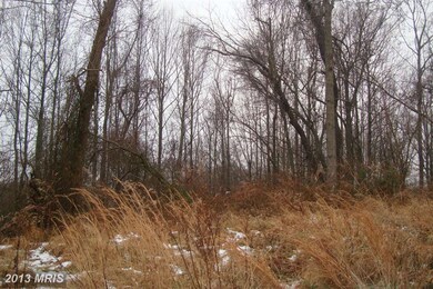 16843 Swanson Rd, Upper Marlboro, MD 20774 - photo 4