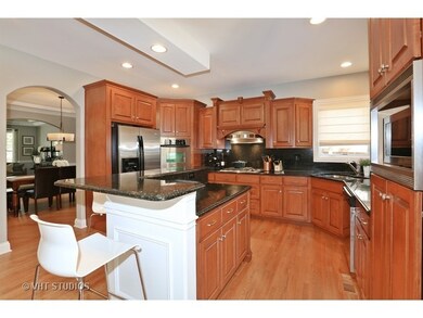 429 N Oak St unit 2, Elmhurst, IL 60126 - photo 5