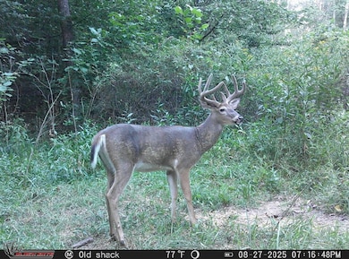 12170 State Route 93 N, Logan, OH 43138 - photo 7