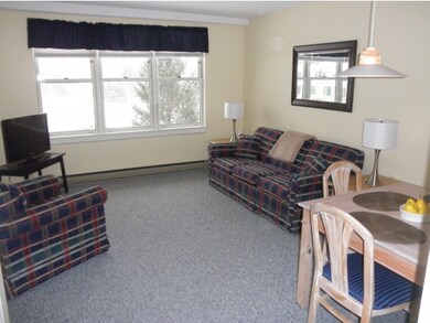 28 Packard Rd unit 531, Waterville Valley, NH 03215 - photo 5