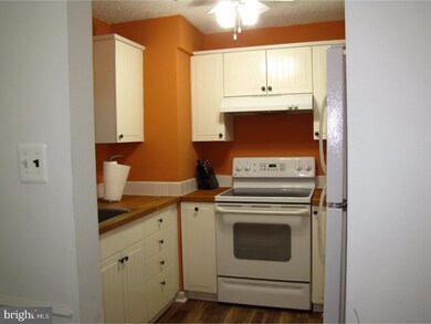 111 Woodstream Dr, Norristown, PA 19403 - photo 6