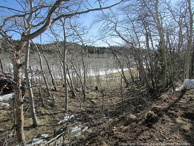 Land/Lot.