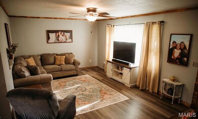 439 Highway Z, Belleview, MO 63623 - photo 4