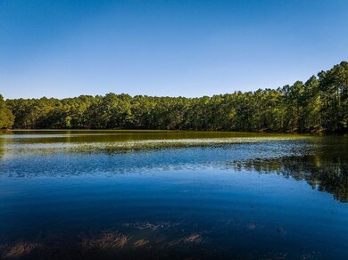 Anderson County Road 445, Brushy Creek, TX 75803 - photo 2