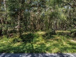 0 W Huff Rd unit MFRG5104867, Eustis, FL 32736 - photo 6
