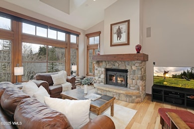 17 Meadow Ct unit 2, Beaver Creek, CO 81620 - photo 2