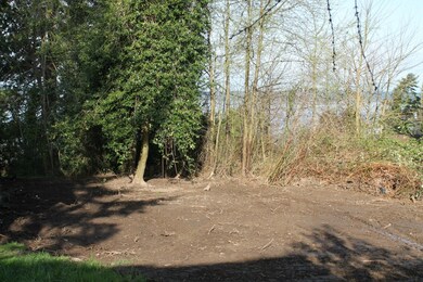 19207 Clarence Ave, Stanwood, WA 98292 - photo 4