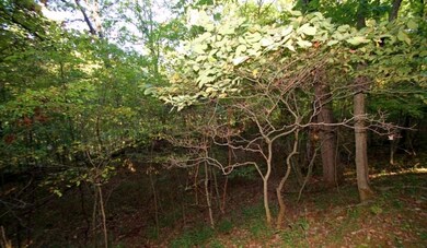 72 Acres