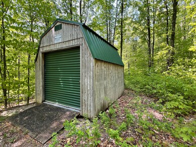 2400 Tower Rd, Hudson Township, MI 49795 - photo 6