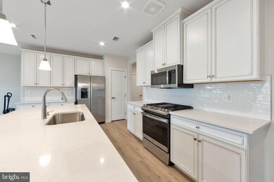 46320 Mount Milstead Terrace unit 305, Sterling, VA 20164 - photo 3