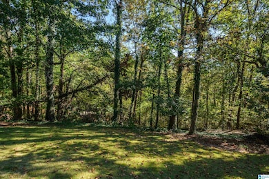 6861 Advent Cir, Trussville, AL 35173 - photo 4