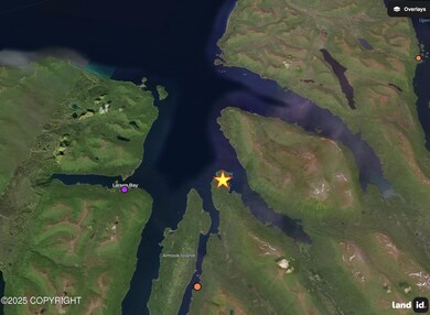 NHN Uyak Bay, Larsen Bay, AK 99624 - photo 4