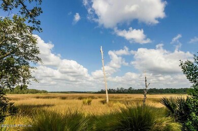 MARSH VIEW