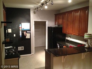 41984 Blue Flag Terrace unit 46, Stone Ridge, VA 20105 - photo 7