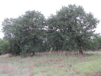 7800 Old Agnes Rd, Poolville, TX 76487 - photo 2