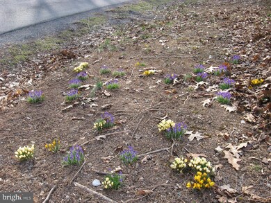 2770 Green Spring Rd, Winchester, VA 22603 - photo 5