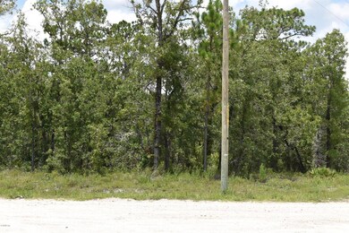 TBD Red Oak Rd unit Lot 193, Perry, FL 32348 - photo 2