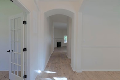 1333 Clary Sage Loop, Round Rock, TX 78665 - photo 4