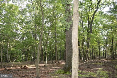 0 Pioneer Trail unit WVMO2003510, Great Cacapon, WV 25422 - photo 6