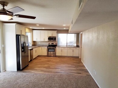 All NEW Stainless Appliances