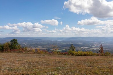 0 Hovering Hawk Dr unit 1326351, Jasper, TN 37347 - photo 5