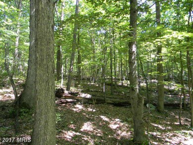 0 Back Rd unit 1003917327, Strasburg, VA 22657 - photo 6