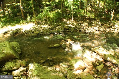 127 Ac Trough Rd, Moorefield, WV 26836 - photo 3