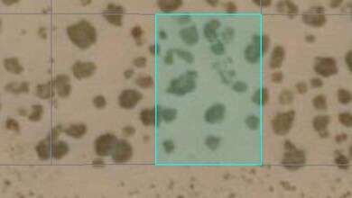 3 Laily View Ct, El Paso, TX 79928 - photo 5