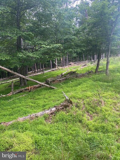 0 Big Sky Ln unit WVMO118606, Berkeley Springs, WV 25411 - photo 2