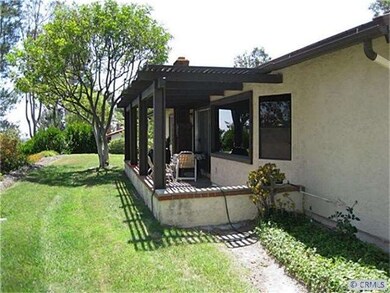 Rear Patio and Grassy Back Yard