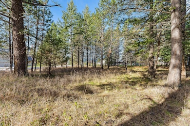 Open and level lot with nice trees and easy lake view