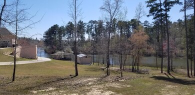 dobson new lake pics