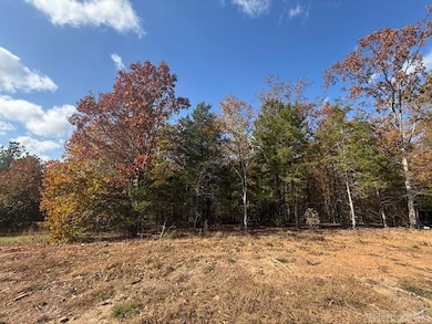 46 Summer Sky Dr, Greenbrier, AR 72058 - photo 3