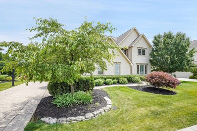 Best house on the block