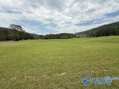 152 Anchorage Ln, Brownsboro, AL 35741 - photo 4