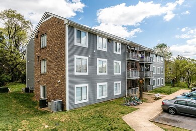 60 South Ave unit D, Harrisonburg, VA 22801 - photo 3