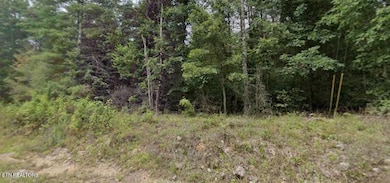 0 Ross Williams Rd, Lancing, TN 37770 - photo 3