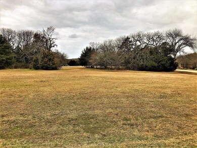 Lot 13E Dublin Cir, Gordonville, TX 76245 - photo 3