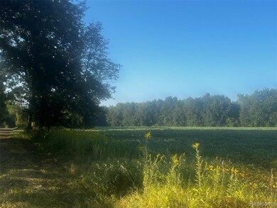 02 Howland Rd, Almont Township, MI 48003 - photo 6