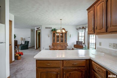 1010 W 46th St, Davenport, IA 52806 - photo 6