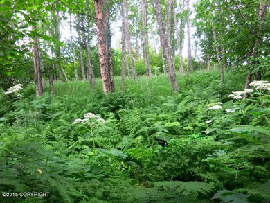 Low elevation extends summer