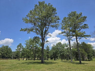 4869 Kedron Rd, Spring Hill, TN 37174 - photo 3