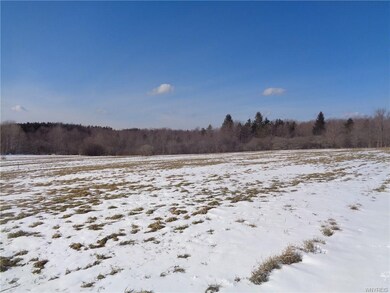 0 Reed Rd unit B1017247, Arcade, NY 14009 - photo 2