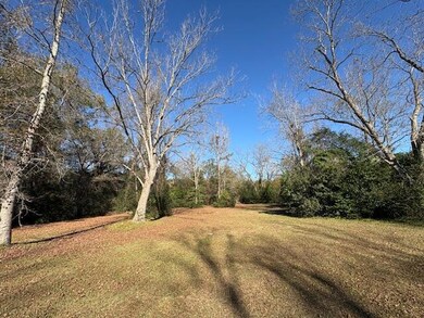 966 W Main St, Harleyville, SC 29448 - photo 5