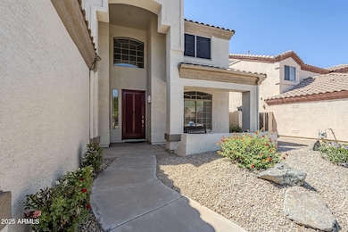 4-web-or-mls-Longhorn-4