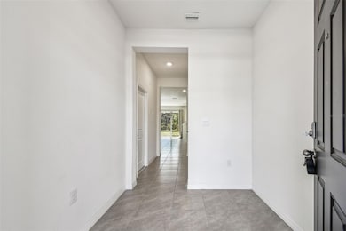 32173 Turtle Grace Loop, Wesley Chapel, FL 33545 - photo 6