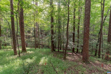 TBD Decca Ln, Charlottesville, VA 22901 - photo 2