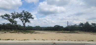 23028 Crafty Ridge, San Antonio, TX 78255 - photo 2