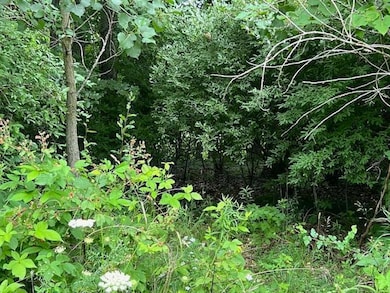 0000 Oak Ridge Hills unit 7, Marshall Township, MI 49068 - photo 5