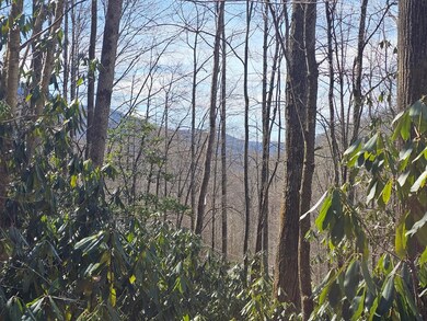 Lot 16 Warrior Way, Andrews, NC 28901 - photo 6